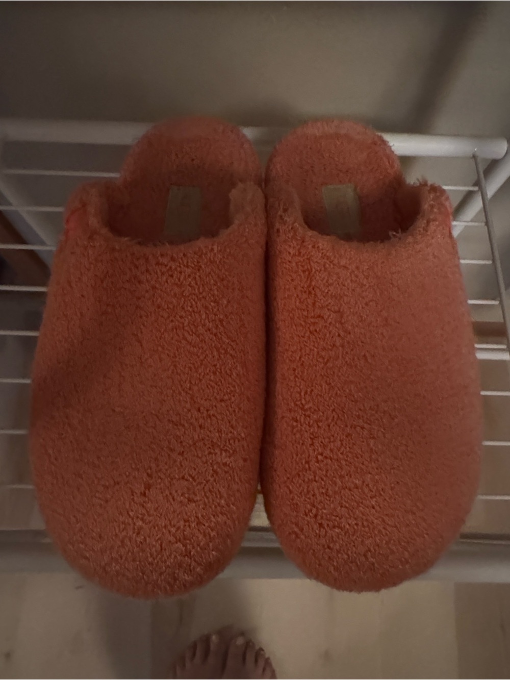 UGG Fuzz Sugar Terry Slide